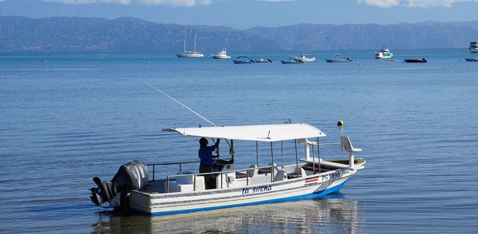 Cabinas Jimenez Puerto Jiménez Eksteriør billede